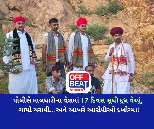 આમિરની સરફરોશ ફિલ્મને ટક્કર મારે તેવું પોલીસનું દિલધડક ઓપરેશન